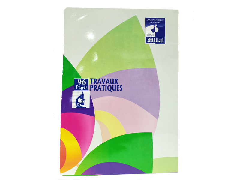 CAHIER TRAVAUX PRATIQUE 64P GM RAYANNE (copie)