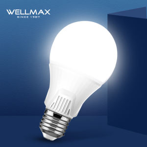 LAMPE LED 6W SAMSUNG WELLMAX