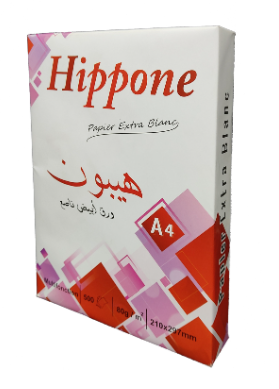 RAME PAPIER A4 500F 80G HIPPONE