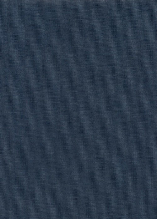 PAPIER TOILE FINE 120G 70 X 102 BLEU MARINE