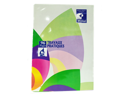 [CATP96GM] - CAHIER TRAVAUX PRATIQUE 64P GM RAYANNE (copie)